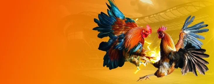 hero banner image